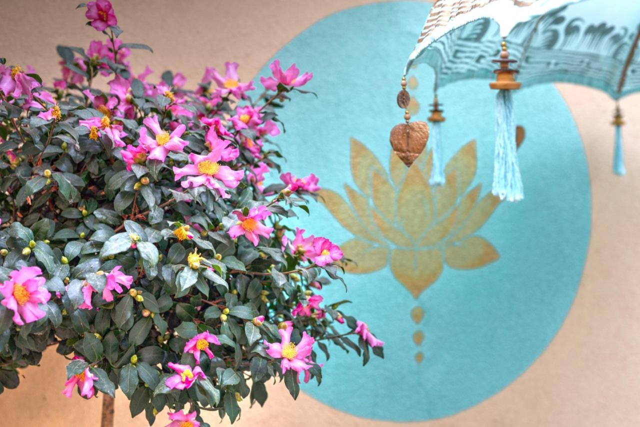 Lotus Apartment Szentendre Ngoại thất bức ảnh